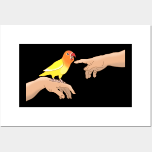 Michelangelo Lovebird Yellow Fischer's Posters and Art